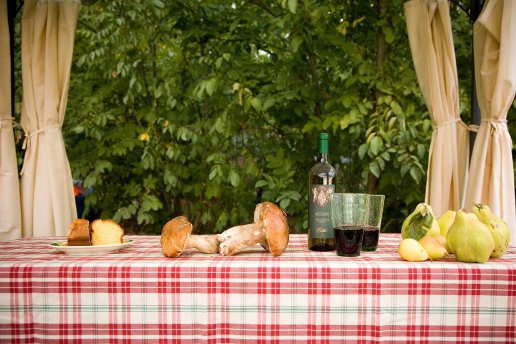 פופי Villa Liz Tuscany, Private Pool, Hot Tub, Property Fenced, Pets Allowed מראה חיצוני תמונה